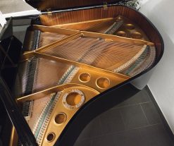 Flygel, August Förster modell 170 - Pianomagasinet